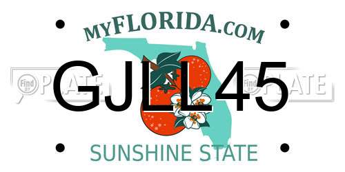 GJLL45 Florida License Plate