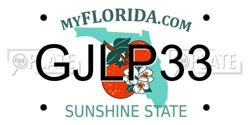 GJLP33 Florida License Plate