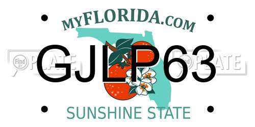 GJLP63 Florida License Plate