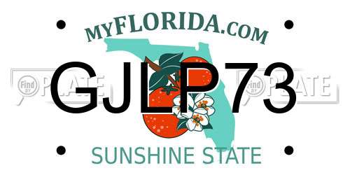 GJLP73 Florida License Plate