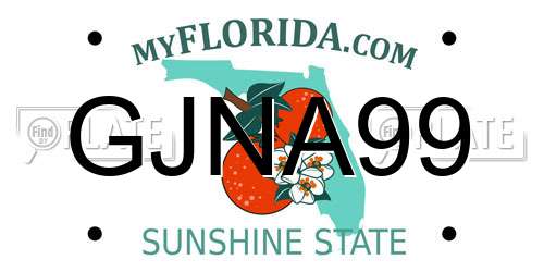 GJNA99 Florida License Plate