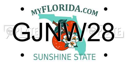 GJNW28 Florida License Plate