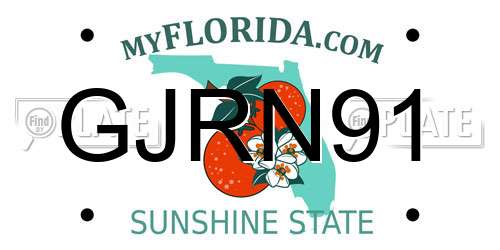 GJRN91 Florida License Plate