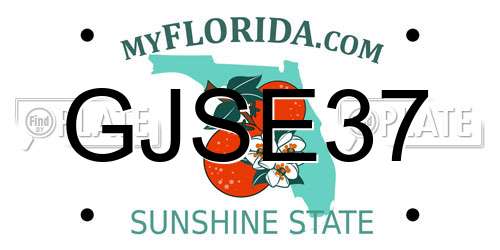 GJSE37 Florida License Plate