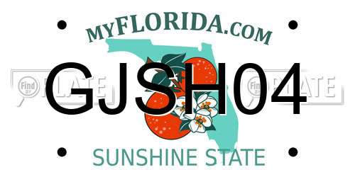 GJSH04 Florida License Plate