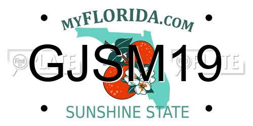 GJSM19 Florida License Plate