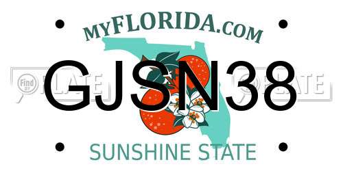 GJSN38 Florida License Plate