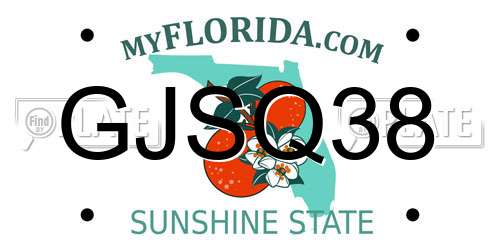 GJSQ38 Florida License Plate