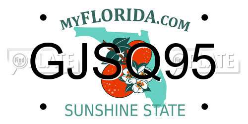 GJSQ95 Florida License Plate
