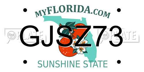 GJSZ73 Florida License Plate