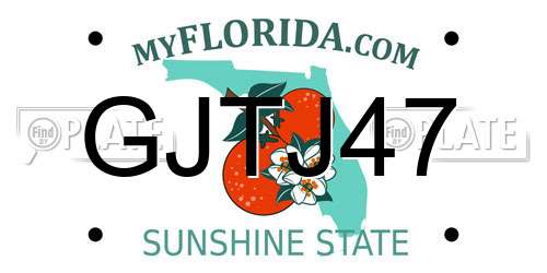 GJTJ47 Florida License Plate