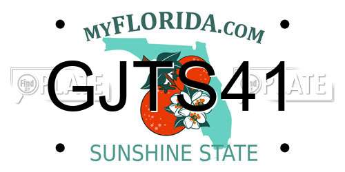 GJTS41 Florida License Plate