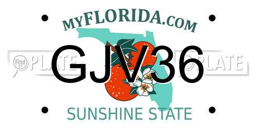 GJV36 Florida License Plate