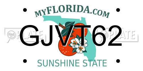 GJVT62 Florida License Plate