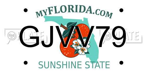 GJVV79 Florida License Plate