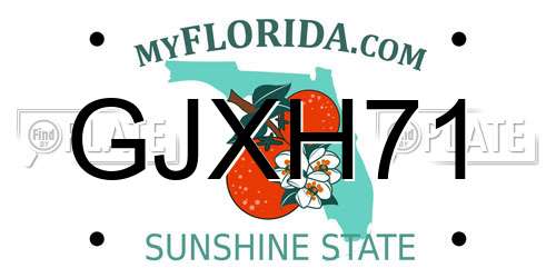 GJXH71 Florida License Plate