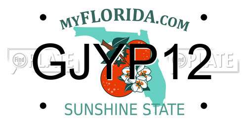 GJYP12 Florida License Plate