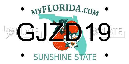 GJZD19 Florida License Plate