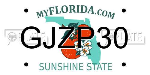 GJZP30 Florida License Plate
