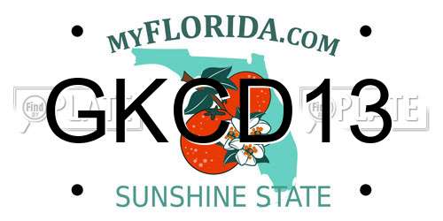 GKCD13 Florida License Plate