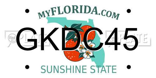 GKDC45 Florida License Plate