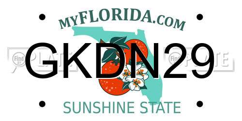 GKDN29 Florida License Plate