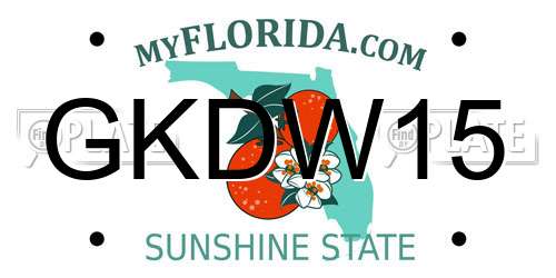 GKDW15 Florida License Plate