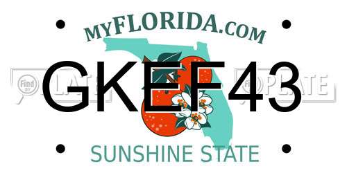 GKEF43 Florida License Plate