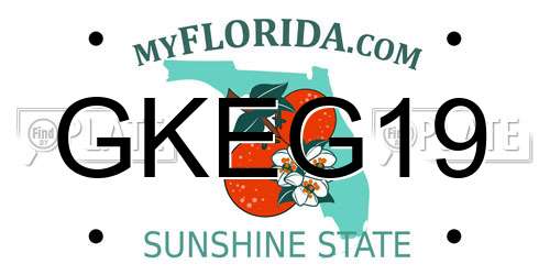 GKEG19 Florida License Plate