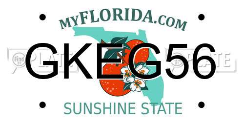 GKEG56 Florida License Plate