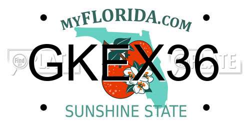 GKEX36 Florida License Plate