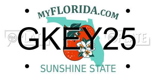 GKEY25 Florida License Plate