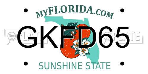 GKFD65 Florida License Plate