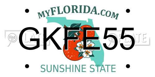 GKFE55 Florida License Plate