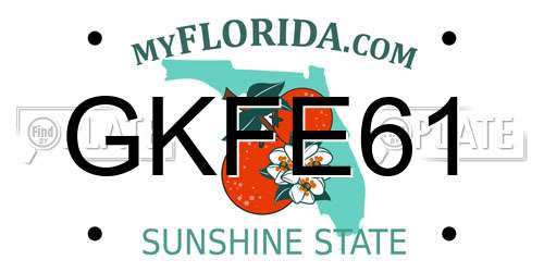 GKFE61 Florida License Plate