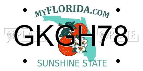 GKGH78 Florida License Plate