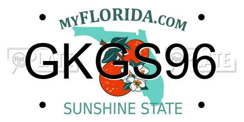 GKGS96 Florida License Plate