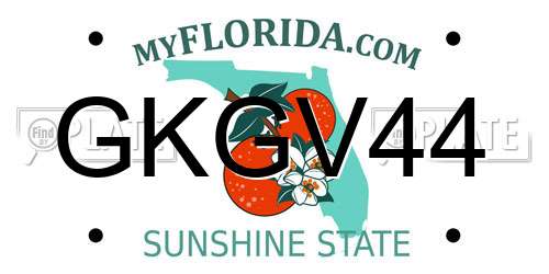 GKGV44 Florida License Plate