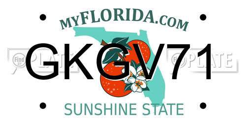 GKGV71 Florida License Plate