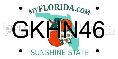 GKHN46 Florida License Plate