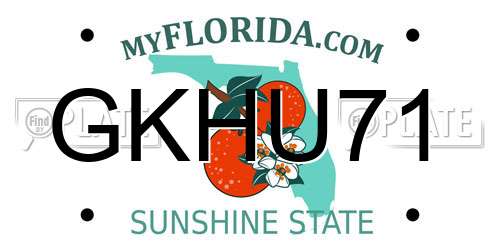GKHU71 Florida License Plate