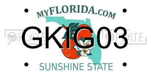 GKIG03 Florida License Plate