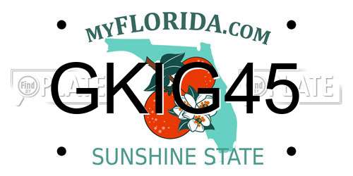 GKIG45 Florida License Plate