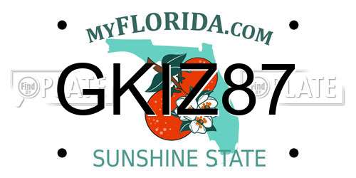 GKIZ87 Florida License Plate