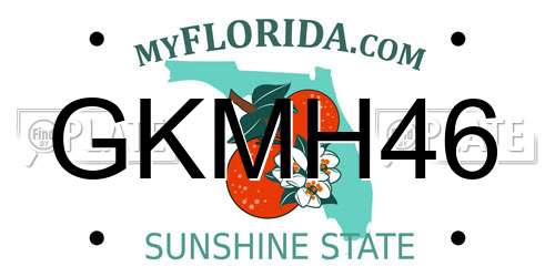 GKMH46 Florida License Plate