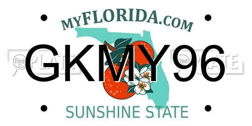 GKMY96 Florida License Plate
