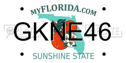 GKNE46 Florida License Plate