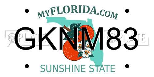 GKNM83 Florida License Plate