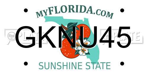 GKNU45 Florida License Plate