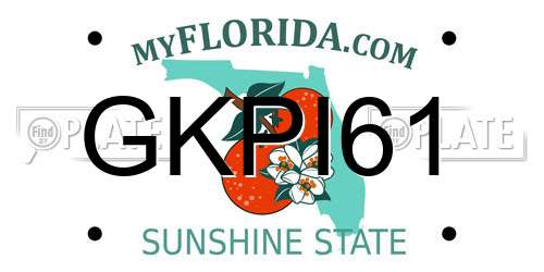 GKPI61 Florida License Plate